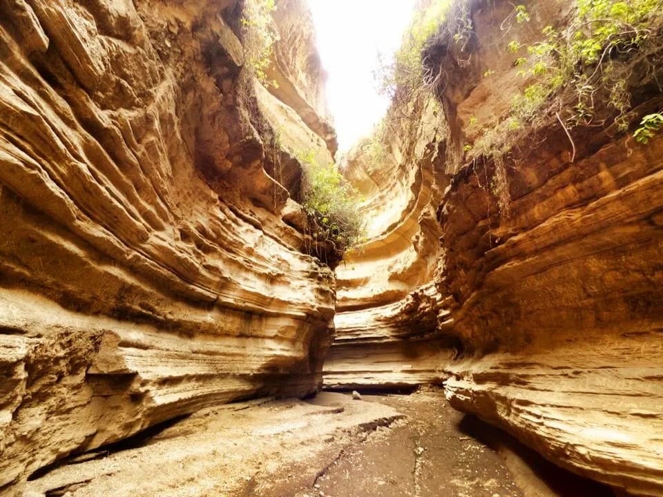 Hell's Gate National Park's gorge, near Lake Naivasha.