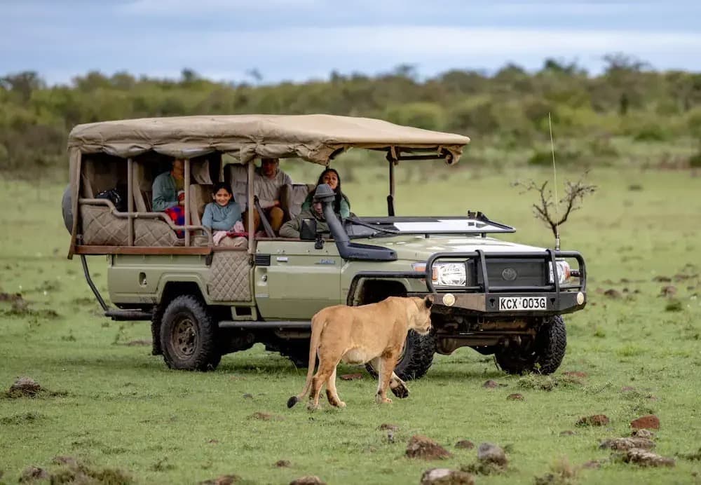 Private Family Safari
